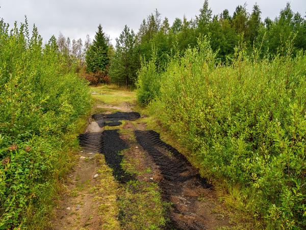 Карелия. Сосновец. Каменное русло